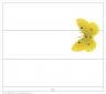 Butterfly Name Plate Template