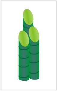 Printable Bamboo Paper Craft Template